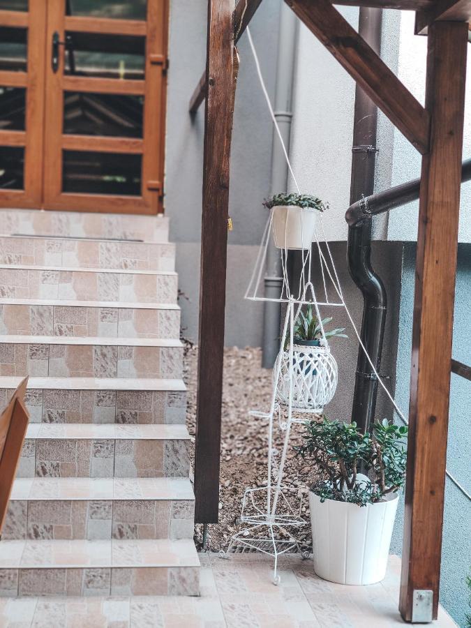 Villa-Apartments Bognar Velika Ngoại thất bức ảnh