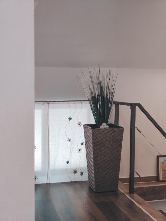 Villa-Apartments Bognar Velika Ngoại thất bức ảnh
